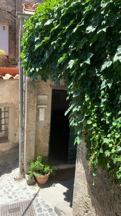 La Casa Sul Lago Anguillara Sabazia Eksteriør billede