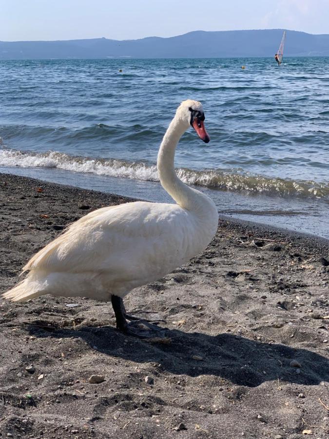 La Casa Sul Lago Anguillara Sabazia Eksteriør billede